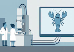 NanoClaw risolve uno dei maggiori problemi di sicurezza di OpenClaw e sta già rafforzando l’attività del creatore