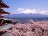 La popolazione locale, preoccupata dall’aumento del numero di turisti, il Giappone ha annullato il Festival di Sakura con il Monte Fuji sullo sfondo