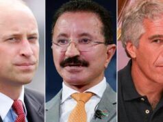 Secondo quanto riferito, il premio Earthshot del principe William è collegato al donatore Epstein