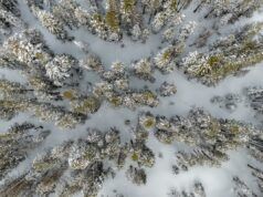 Due sciatori sono morti nella zona del Lago Tahoe pochi giorni dopo che una valanga ne aveva uccisi otto