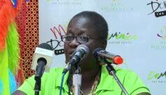 Il Comitato Carnival Road Parade sollecita la sicurezza dei membri della band e degli spettatori durante i prossimi eventi della parata