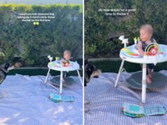 La mamma cattura lo stallo isterico tra il cane e il bambino di 5 mesi che giocano a palla