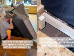 La coppia sente dei rumori provenire da un divano usato, poi si rende conto di cosa il venditore ha lasciato dentro