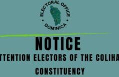 ANNUNCIO: il team di conferma mobile visiterà la circoscrizione elettorale di Colihaut il 25 febbraio 2026