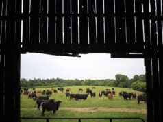 I costruttori di data center pensavano che gli agricoltori avrebbero venduto volentieri la terra, o avrebbero imparato il contrario