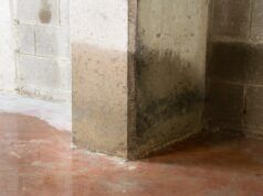 Il proprietario della casa controlla il seminterrato dopo la perdita: orrore per ciò che scopre dopo