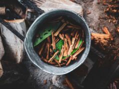 L’allucinogeno DMT è un antidepressivo efficace in piccoli studi clinici