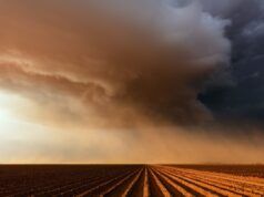 Più di 600.000 persone sono state esortate a rimanere in casa a causa dell’emissione di un avviso di qualità dell’aria “malsana”