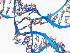 Piccoli RNA lunghi 45 basi possono replicarsi