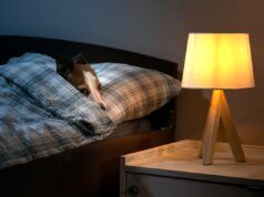 Il veterinario rivela tratti comuni a casa che potrebbero rendere ansioso il tuo cane