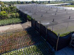 Le aziende agricole della Florida lottano contro la grave siccità che attanaglia lo stato