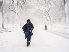 Le mappe mostrano che gli stati nordorientali sono pronti a nevicare nuovamente questo fine settimana