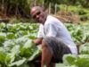 COMMENTO: Kubuli Farms – Promuovere l’innovazione, l’inclusione e le opportunità in Dominica