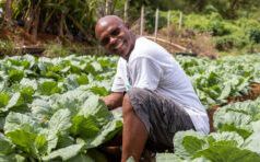 COMMENTO: Kubuli Farms – Promuovere l’innovazione, l’inclusione e le opportunità in Dominica