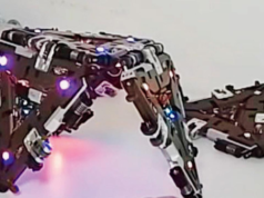 Ecco gli ultimi aggiornamenti tecnologici che devi conoscere