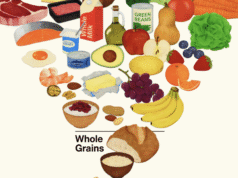 RFK Jr. Il sito della piramide alimentare si collega a Grok, che dice che non dovresti fidarti di RFK Jr.