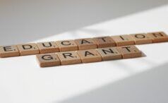 DESCRIZIONE: Dichiarazione relativa alle sovvenzioni statali concesse alle scuole sostenute dallo stato