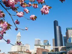 La Niña svanisce mentre WA affronta previsioni primaverili ed estive calde e secche