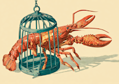 Google limita l'”uso dannoso” di Antigravity, consentendo agli utenti di OpenClaw di ridurre radicalmente l’applicazione dei Termini di servizio