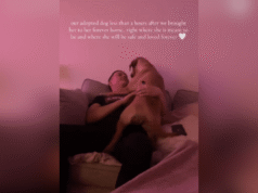 Il cane appena adottato torna a casa – 2 ore dopo con il cuore spezzato da quello che fa