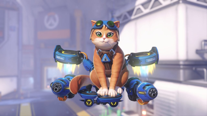 jetpack-cat-1770137735162.png
