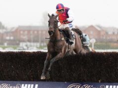 Festival di Cheltenham: Haiti Couleurs 7/1 per la Gold Cup dopo il facile successo di Denman Chase a Newbury per Rebecca Curtis | Notizie sulle corse