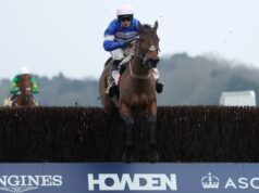 Consigli per il sabato: Pic D’orhy puntava a eclissare Jonbon e conquistare l’Ascot Chase da tre tornei nel Berkshire | Notizie sulle corse