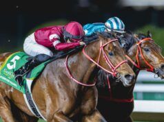 Forever Young ancora una volta superbo in Coppa Saudita | Notizie sulle corse