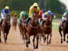 Oggi su Sky Sports Racing: Hereford e Southwell | Notizie sulle corse