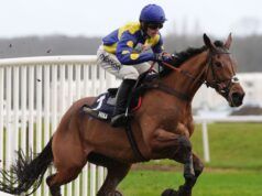 Festival di Cheltenham: Tutti Quanti fa sognare Paul Nicholls di Champion Hurdle dopo i lavori di demolizione di Newbury | Notizie sulle corse