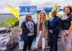 I rappresentanti dell’IICA incontrano il ministro dell’Agricoltura delle Bahamas per continuare la distribuzione agli agricoltori dopo l’uragano Melissa