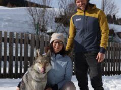 Come Nazgul il cane lupo scappò verso Winter O: NPR