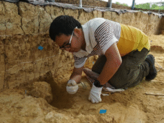 Il teschio fossilizzato “di un milione di anni” proveniente dalla Cina è molto più antico, non quello di Denisova