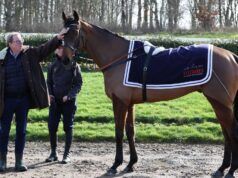 L’impressionante patrimonio netto di Harry Redknapp durante le sue corse di cavalli nella Gold Cup al Festival di Cheltenham