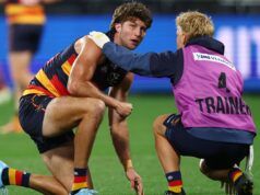 Garry Lyon critica Adelaide e Jordon Butts per una commozione cerebrale in ritardo