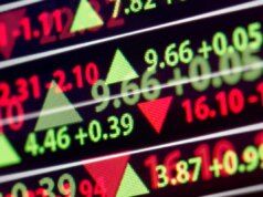 I due valori più tranquilli della capra di montagna in mezzo alla guerra