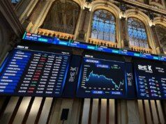 La capra di montagna si unisce al Medio Oriente