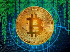 Bitcoin previene i cali del mercato