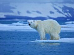 Il mondo si sta riscaldando più velocemente di quanto si pensasse in precedenza