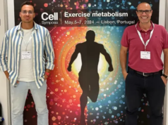 I ricercatori scoprono un batterio intestinale che aumenta la forza muscolare