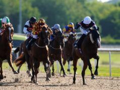 Oggi su Sky Sports Racing: Ffos Las, Plumpton e Wolverhampton | Notizie sulle corse