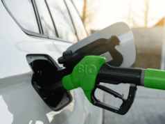 Crisi petrolifera, indennità settimanale per l’acquisto di carburante in Sri Lanka