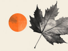 Le dinamiche di crescita supportano l’atteggiamento cauto della BoC – RBC