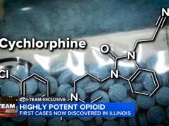 Novità sulle tariffe: il giudice stabilisce che le aziende hanno diritto al rimborso per le tariffe Trump annullate dalla Corte Suprema