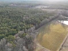 Lo sviluppatore di data center si ritira da Apex per ora