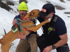 Un cane caduto da un pericoloso dirupo nella Riserva Michael Ciaiola di New York è stato salvato dai vigili del fuoco e dai soccorritori