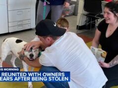 Cane rubato in un cortile a Filadelfia si riunisce alla famiglia dopo 11 anni