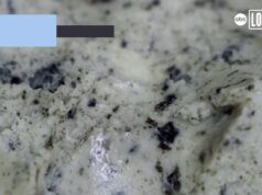 La Gelateria Frozen Art di Santa Rosa trasforma ogni deliziosa pallina in un capolavoro