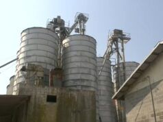 Dalla guerra alla siccità: gli agricoltori della Carolina del Nord presi nel mezzo