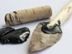 Non importa i cerotti, i Neanderthal avevano il catrame di betulla antisettico